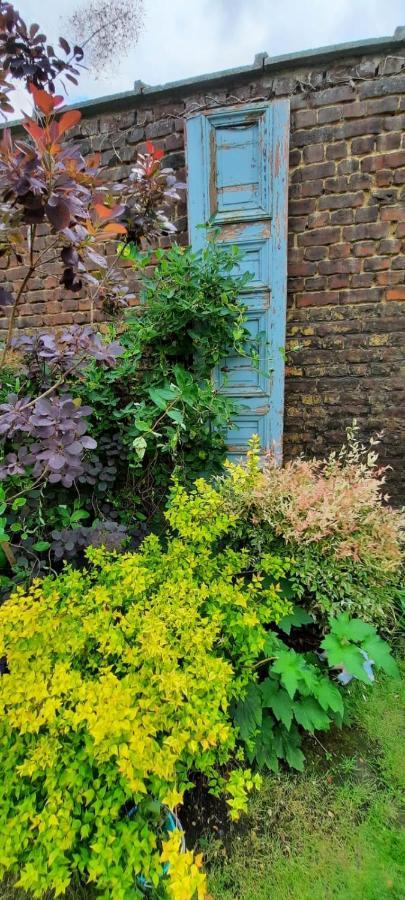 Homestay Maison Du Jardin Botanique 7 Min Centre Et Gare Tourcoing